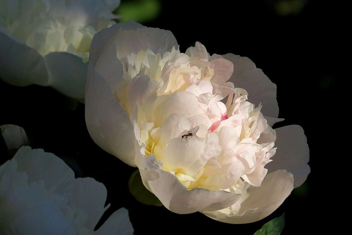 ... ����� Natali  ��������� �� PhotoGeek.ru #������ ��� ������� #����� ��������������