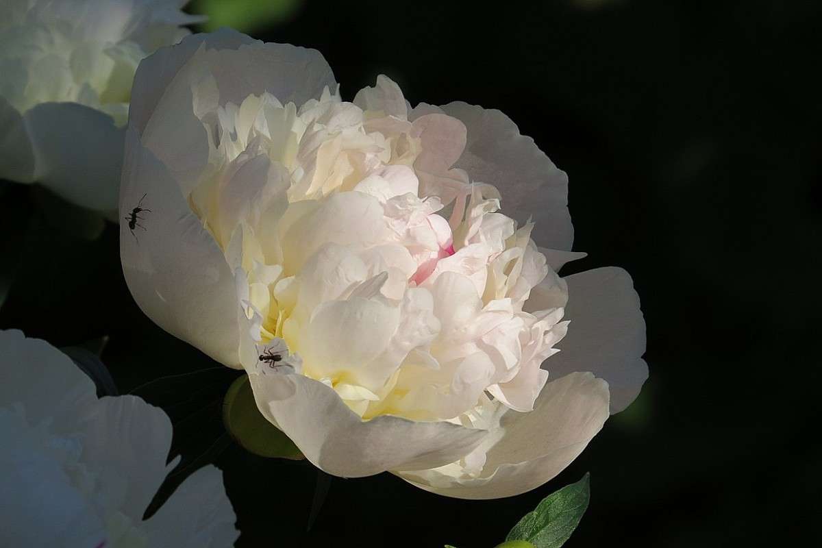 ... ����� Natali  ��������� �� PhotoGeek.ru #������ ��� ������� #����� ��������������