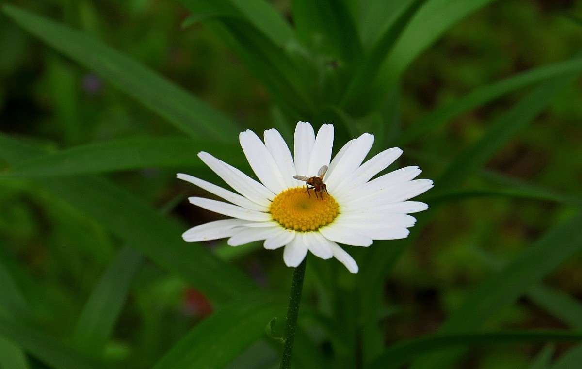 ... ����� Natali  ��������� �� PhotoGeek.ru #������ ��� ������� #����� ��������������