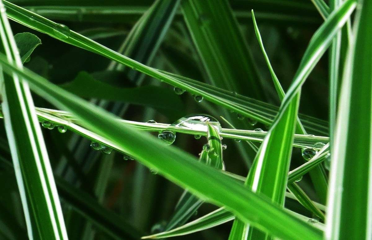 ����������� ����� ����� Natali  ��������� �� PhotoGeek.ru #������ ��� ������� #����� �������������� #����� ��������