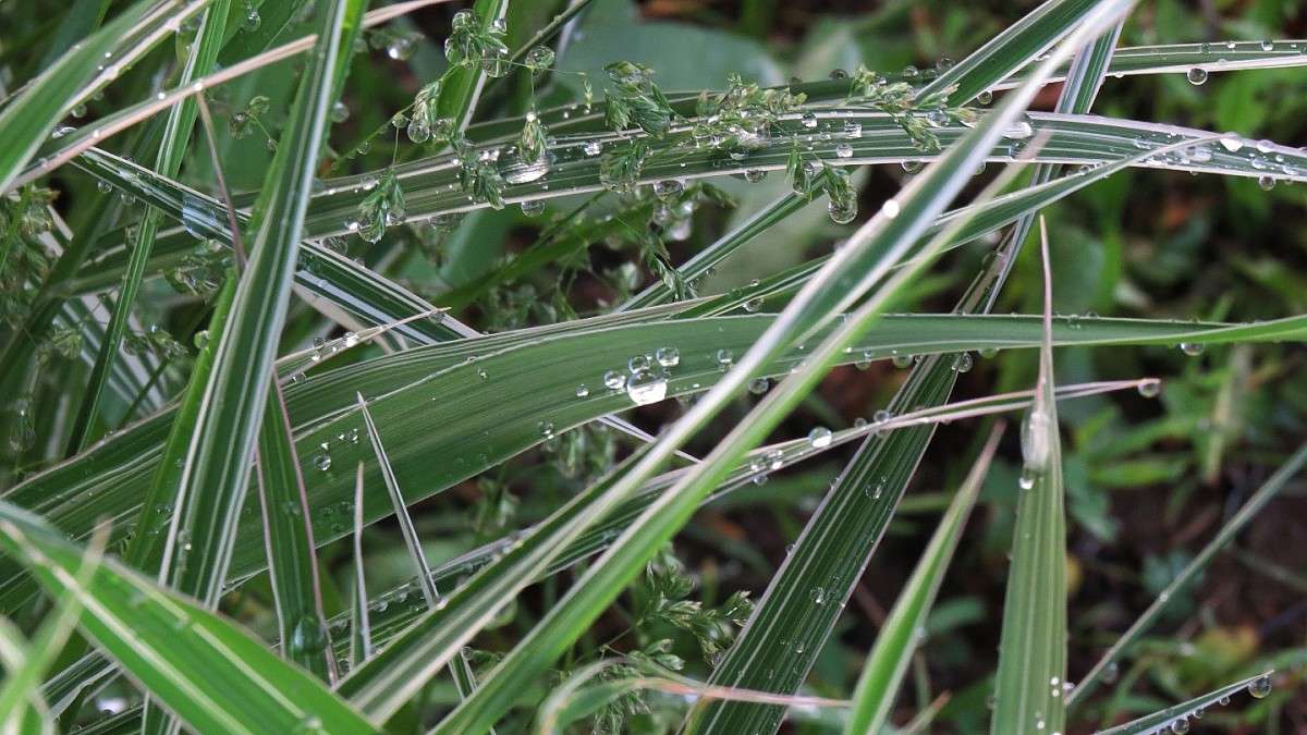 � ������ ���� �������� ))) ����� Natali  ��������� �� PhotoGeek.ru #������ ��� ������� #����� ��������������