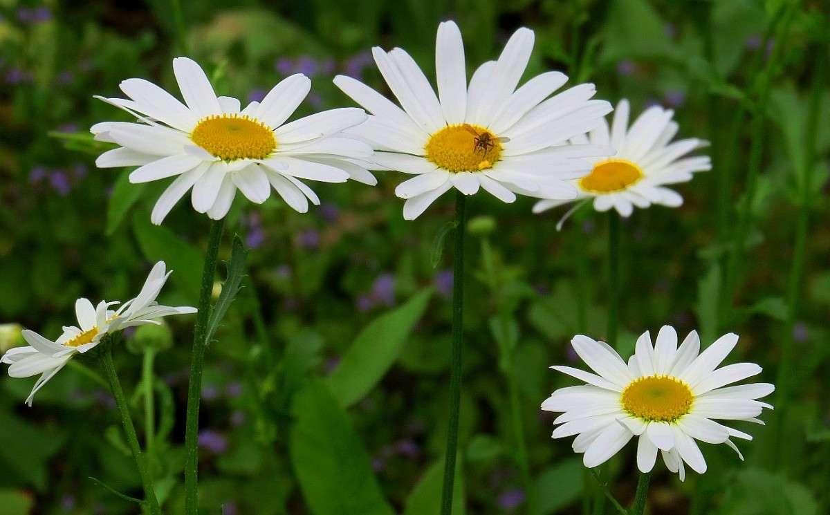 ... ����� Natali  ��������� �� PhotoGeek.ru #������ ��� ������� #����� ��������������