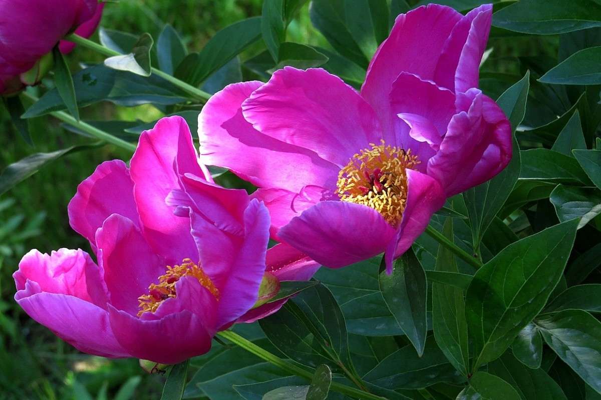 ... ����� Natali  ��������� �� PhotoGeek.ru #������ ��� ������� #����� ��������������