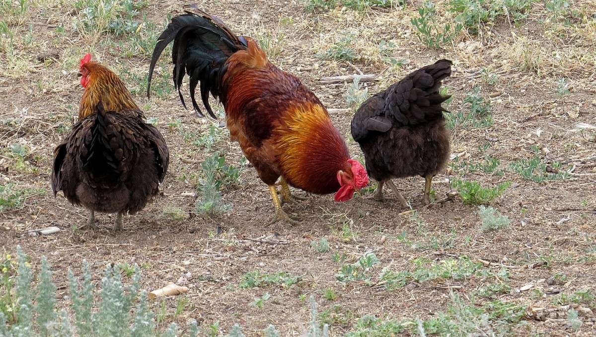 �������� ������  ))) ����� Natali  ��������� �� PhotoGeek.ru #�������� ��� #����� ��� ��� ���������