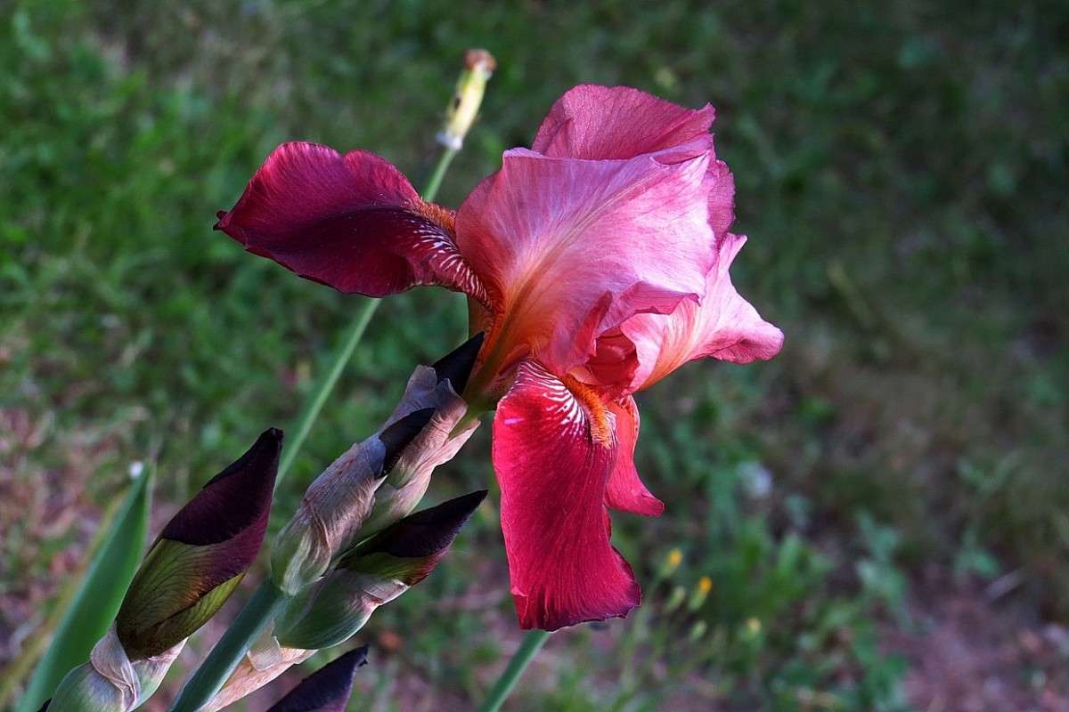 ���� �������� .... ))) ����� Natali  ��������� �� PhotoGeek.ru #������ ��� ������� #����� ��������������