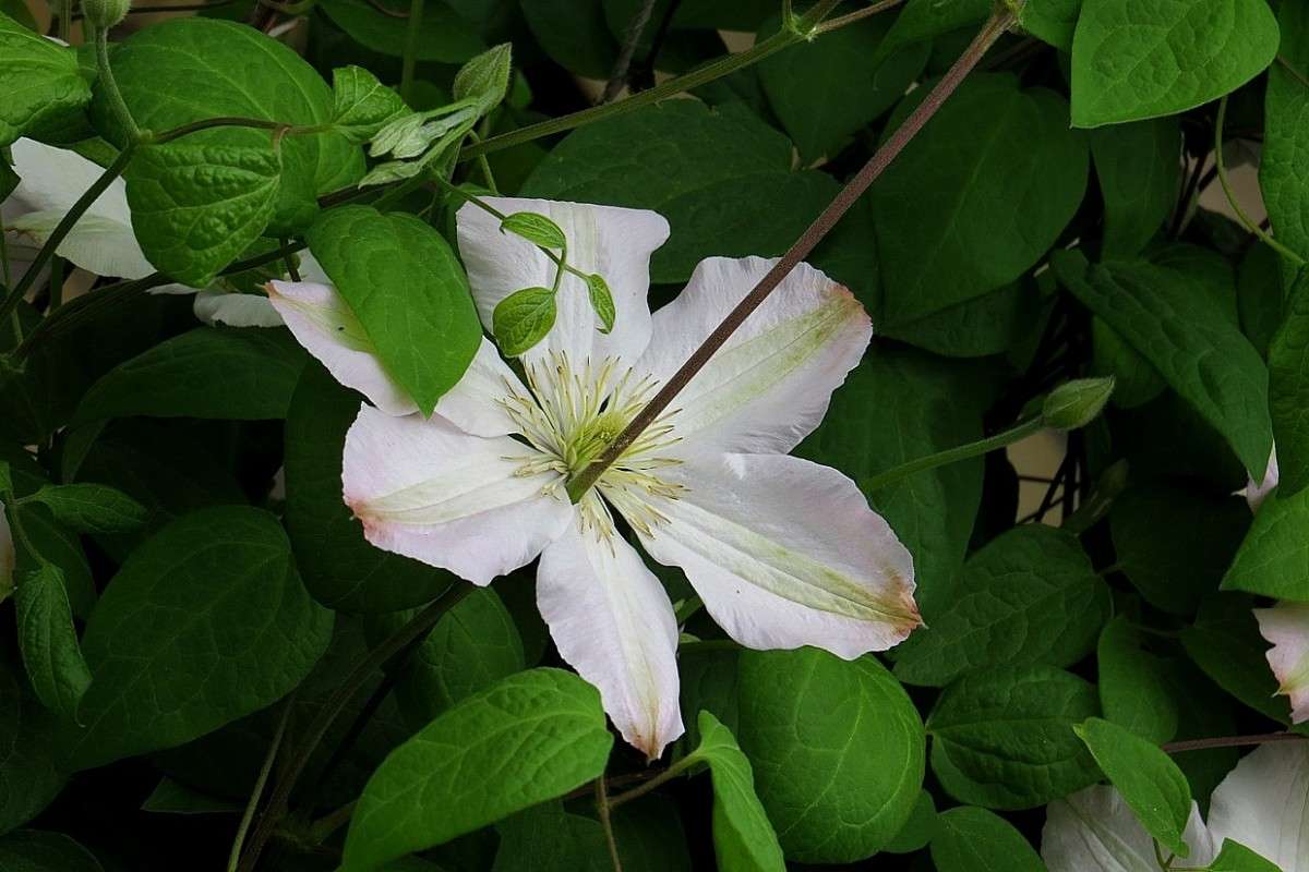 ��������� ))) ����� Natali  ��������� �� PhotoGeek.ru #������ ��� ������� #����� ��������������