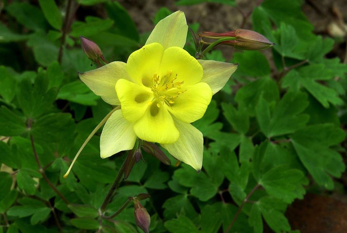 ��� - �� ��������� ... ))) ����� Natali  ��������� �� PhotoGeek.ru #������ ��� ������� #����� ��������������