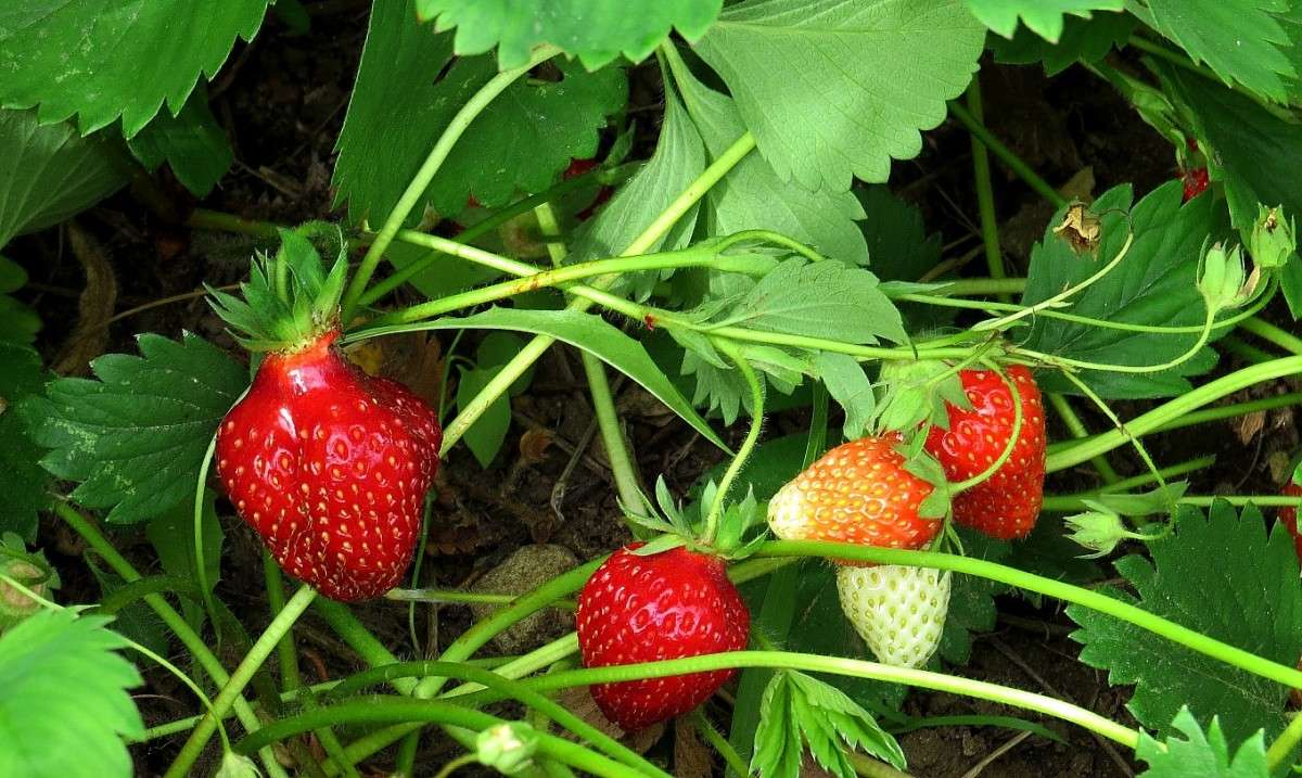 ������� � ... ������ ))) ����� Natali  ��������� �� PhotoGeek.ru #������ ��� ������� #����� ��������������