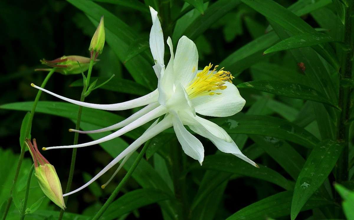 ... ����� Natali  ��������� �� PhotoGeek.ru #������ ��� ������� #����� ��������������