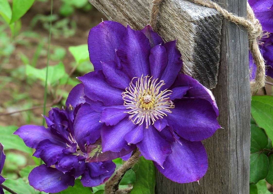 ))) ����� Natali  ��������� �� PhotoGeek.ru #������ ��� ������� #����� ��������������