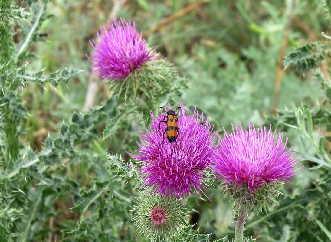 ... ����� Natali  ��������� �� PhotoGeek.ru #������ ��� ������� #����� ��������������