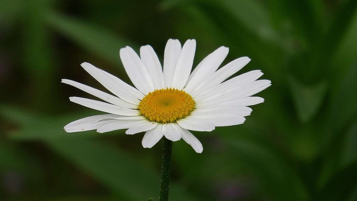 ��� ����� ���������� ))) ����� Natali  ��������� �� PhotoGeek.ru #������ ��� ������� #����� ��������������