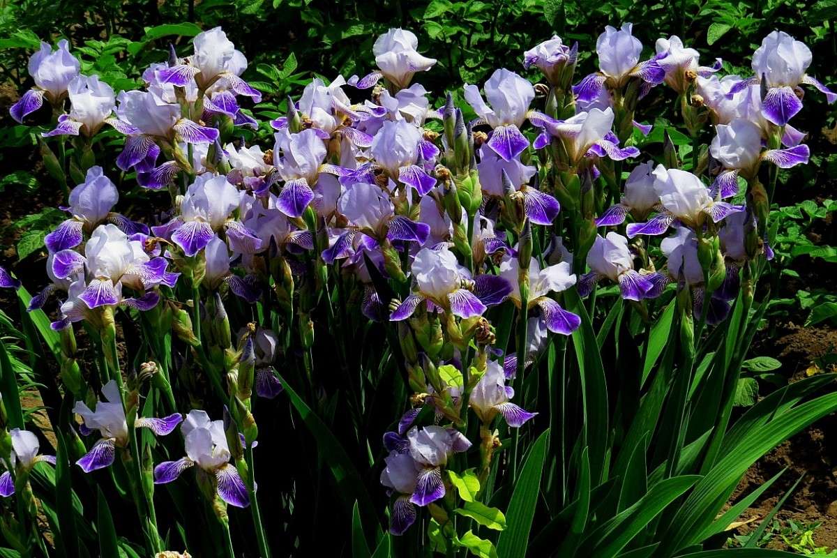 ������� ))) ����� Natali  ��������� �� PhotoGeek.ru #������ ��� ������� #����� ��������������