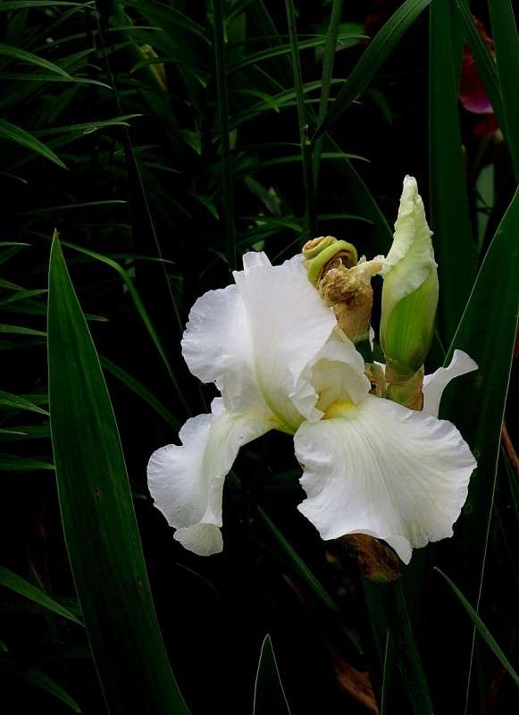 ... ����� Natali  ��������� �� PhotoGeek.ru #����� ��������������