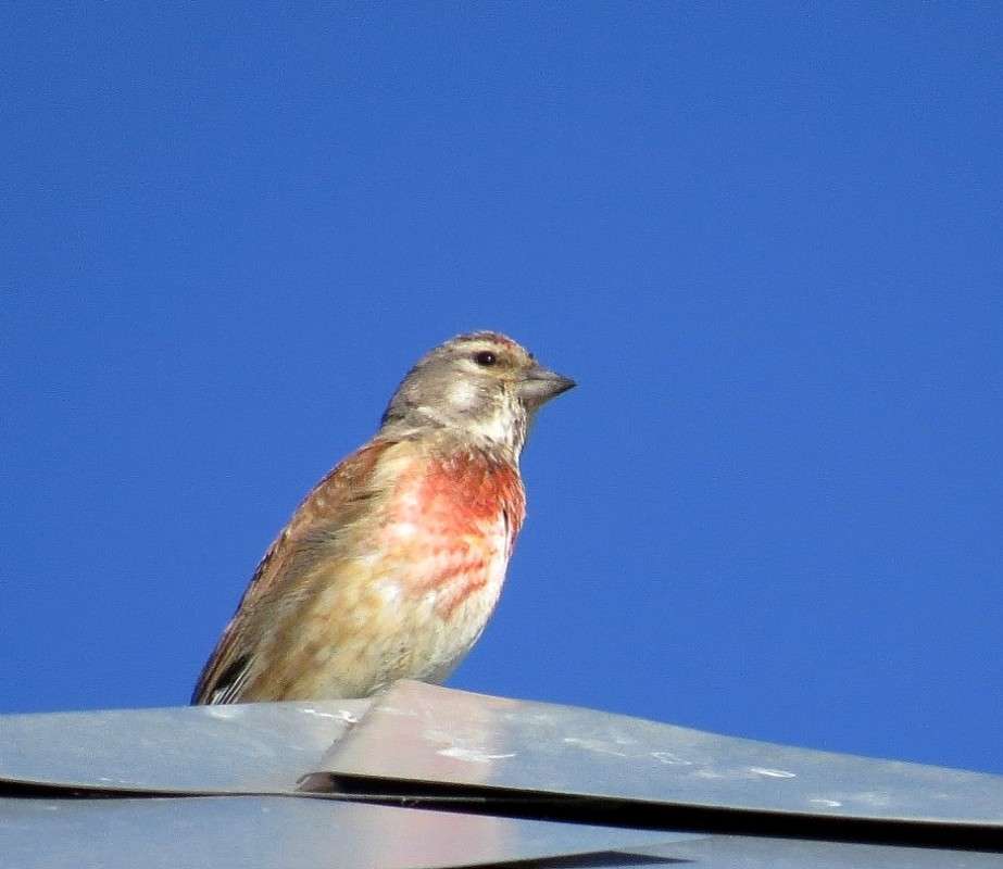 ����� �� ����� ) ����� Natali  ��������� �� PhotoGeek.ru #�������� ��� #����� ��� ��� ���������