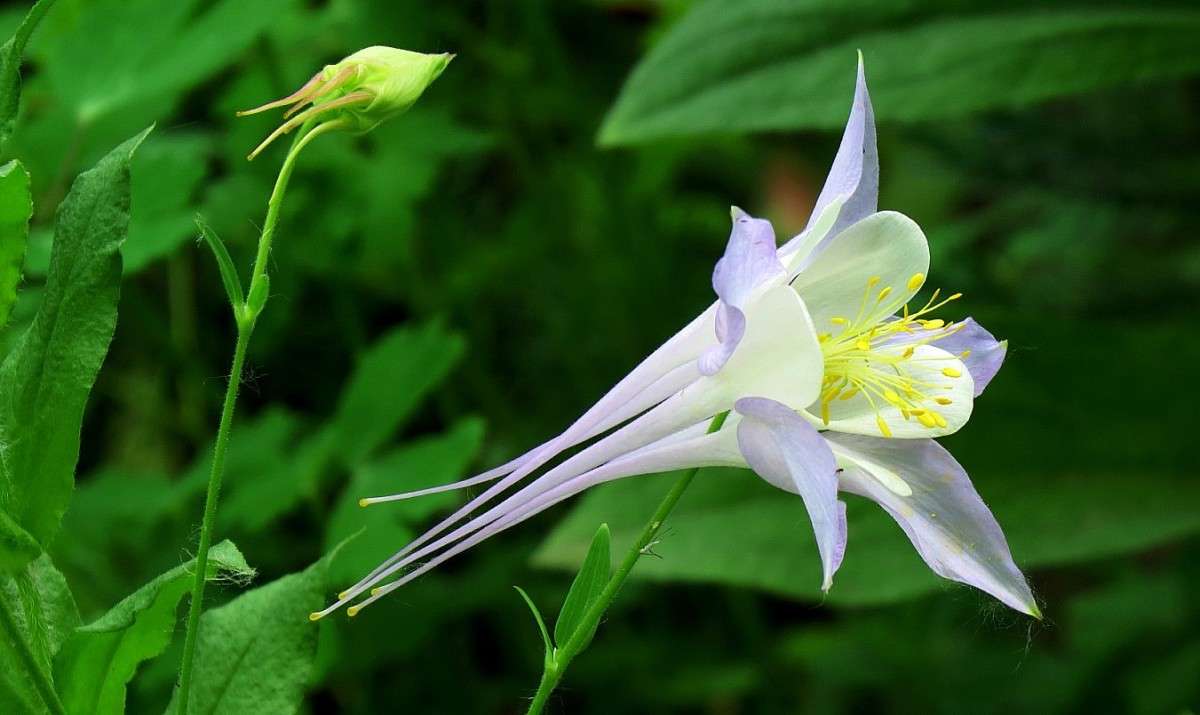 ... ����� Natali  ��������� �� PhotoGeek.ru #����� ��������������