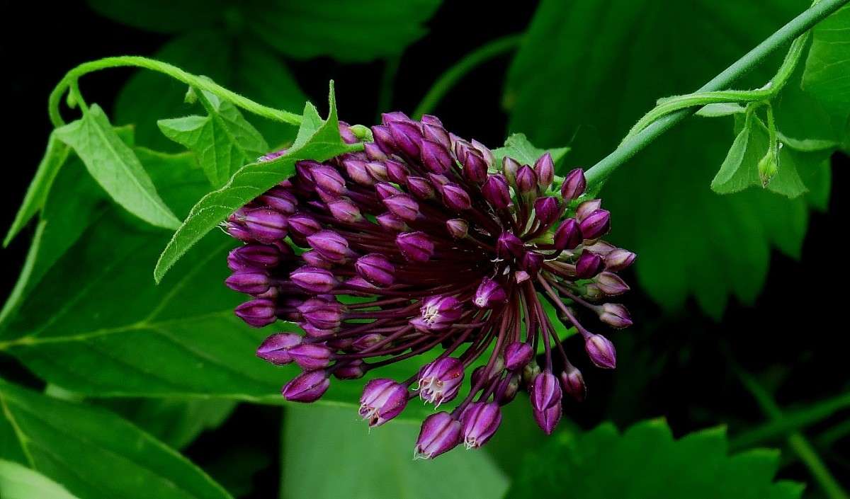 ����� ��� ) ����� Natali  ��������� �� PhotoGeek.ru #����� ��������������