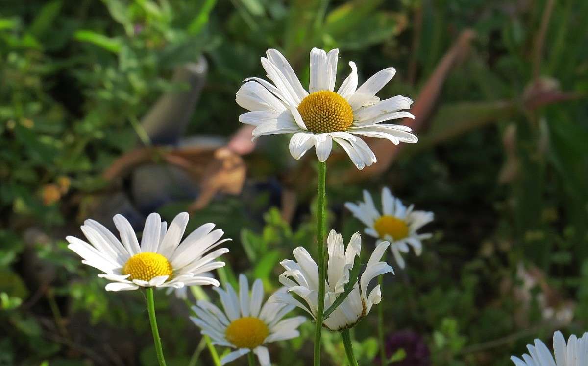 ... ����� Natali  ��������� �� PhotoGeek.ru #����� ��������������