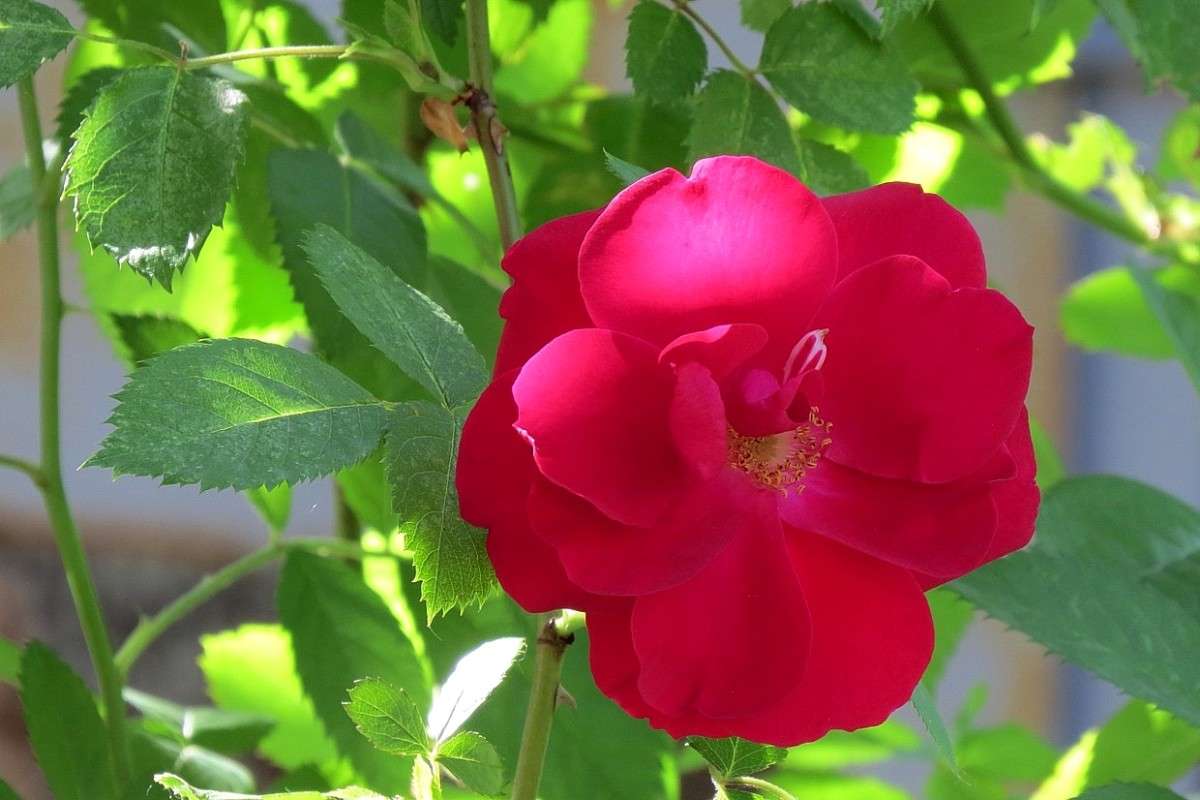 ... ����� Natali  ��������� �� PhotoGeek.ru #����� ��������������