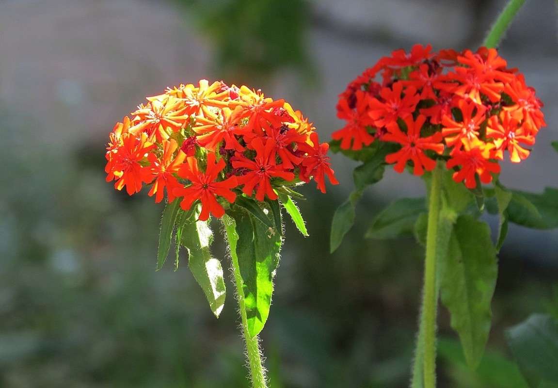 ... ����� Natali  ��������� �� PhotoGeek.ru #����� ��������������