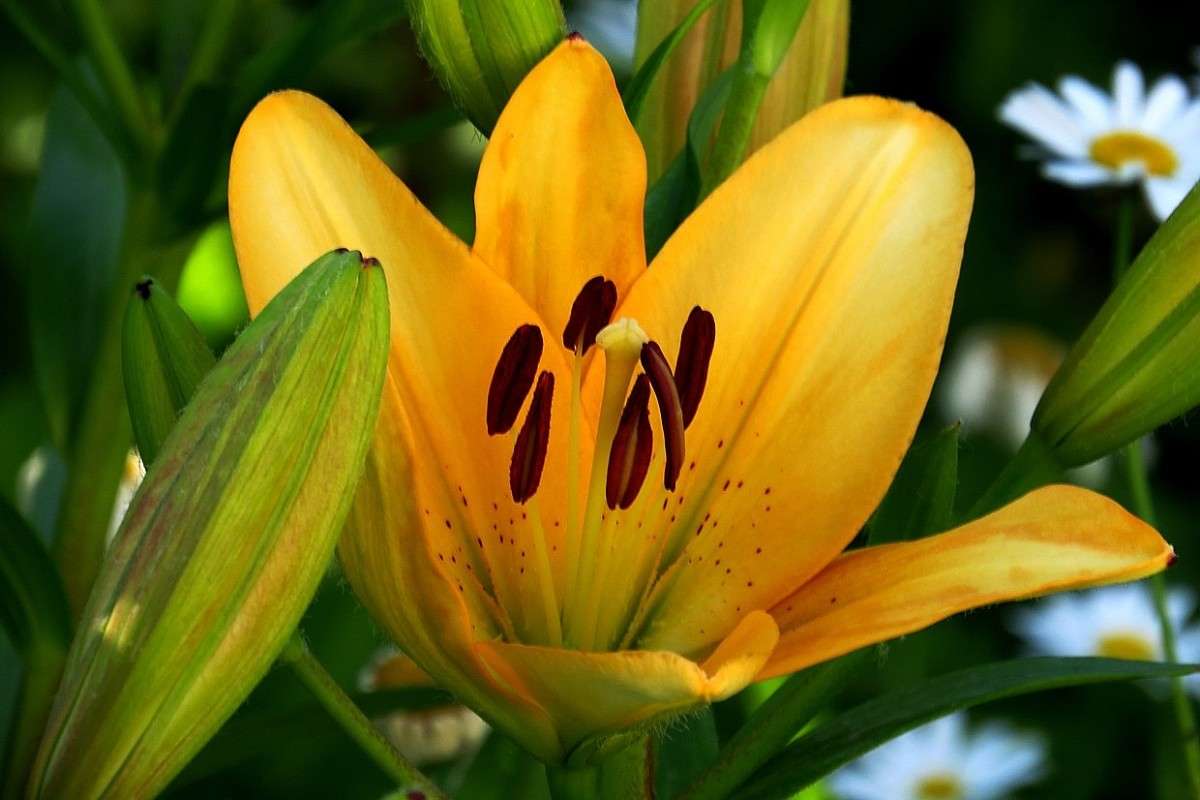 ... ����� Natali  ��������� �� PhotoGeek.ru #����� ��������������