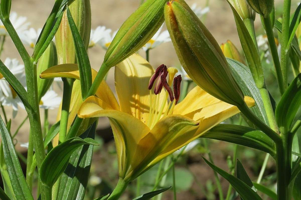 ... ����� Natali  ��������� �� PhotoGeek.ru #����� ��������������