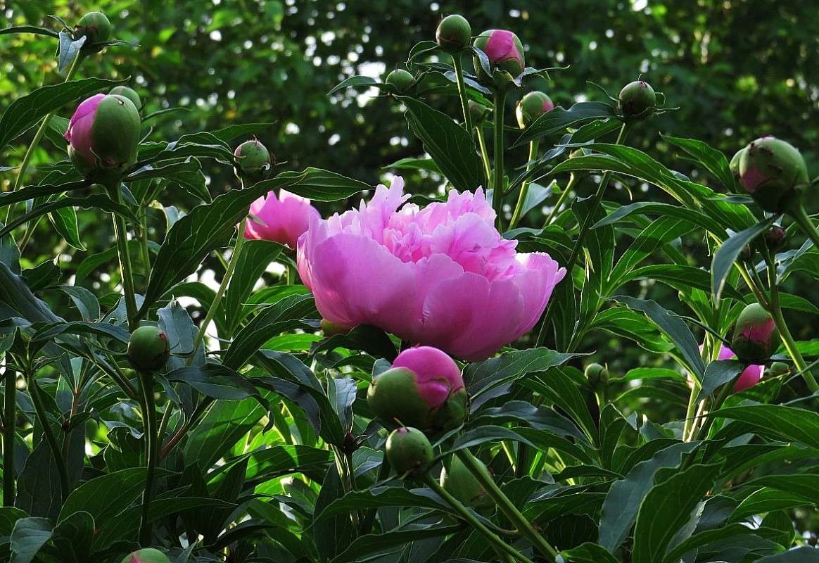 ... ����� Natali  ��������� �� PhotoGeek.ru #����� ��������������