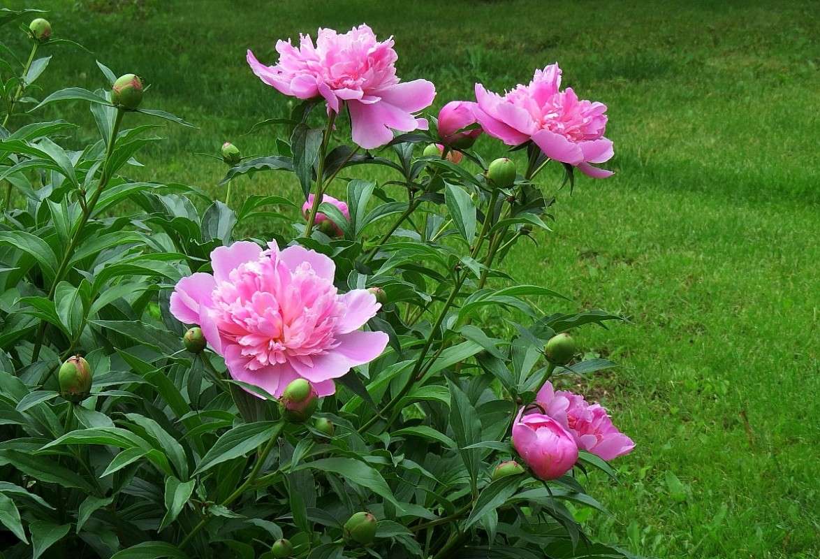 ... ����� Natali  ��������� �� PhotoGeek.ru #����� ��������������