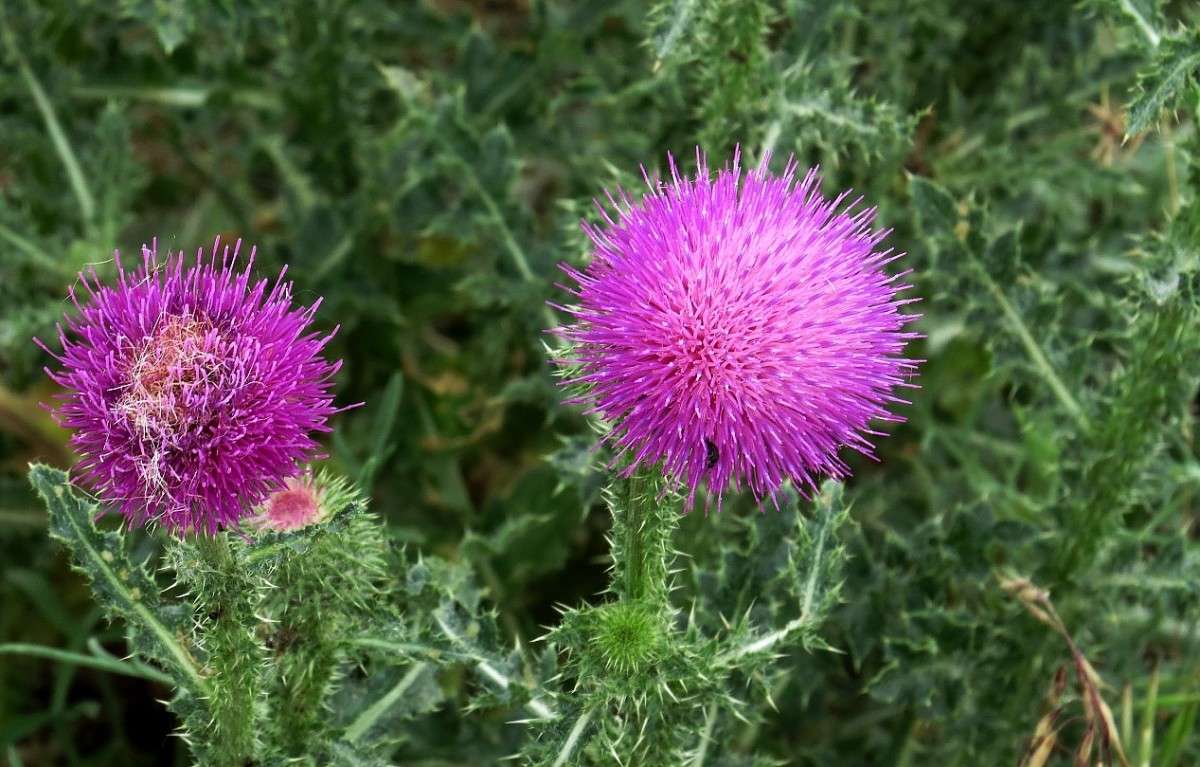 � ������� ����� Natali  ��������� �� PhotoGeek.ru #������ ��� ������� #����� ��������������