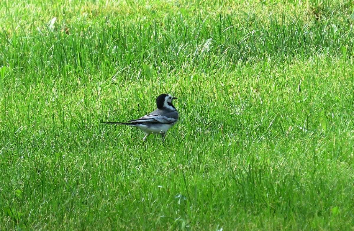 ���������� ����� Natali  ��������� �� PhotoGeek.ru #�������� ��� #������ ��� ������� #����� ��� ��� ���������