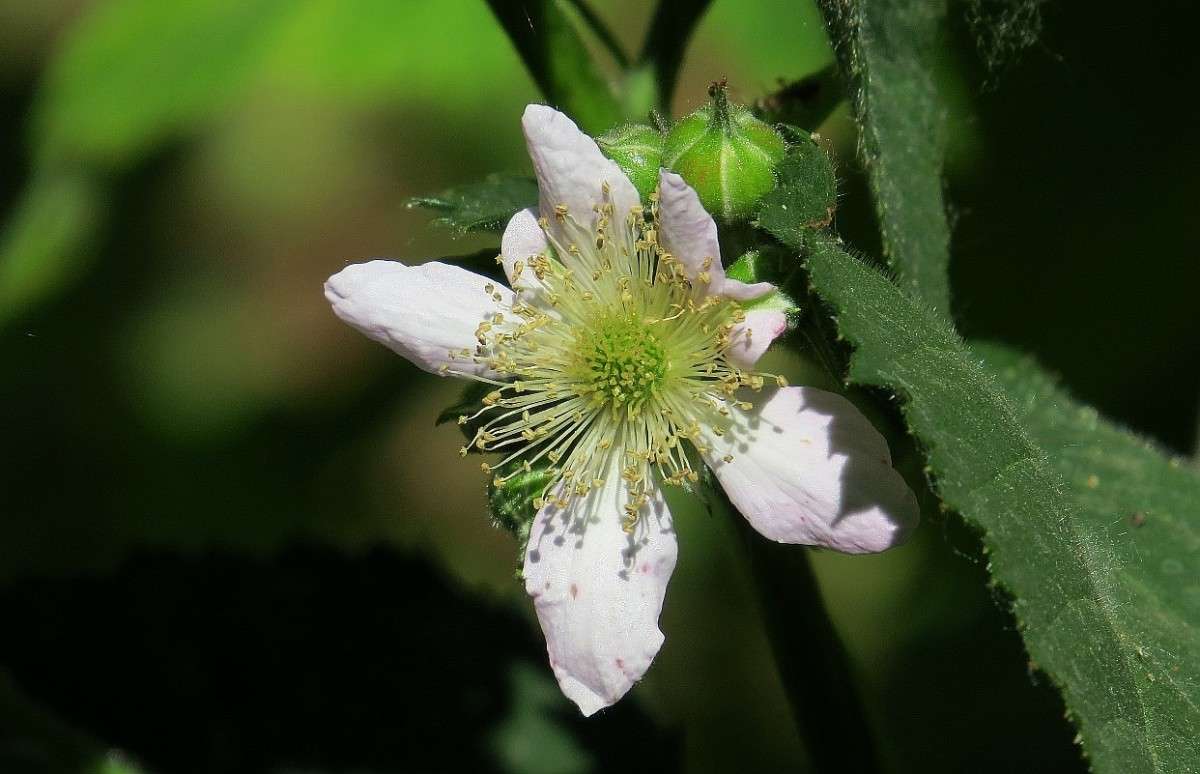 ��������� ���� ����� Natali  ��������� �� PhotoGeek.ru #����� ��������������