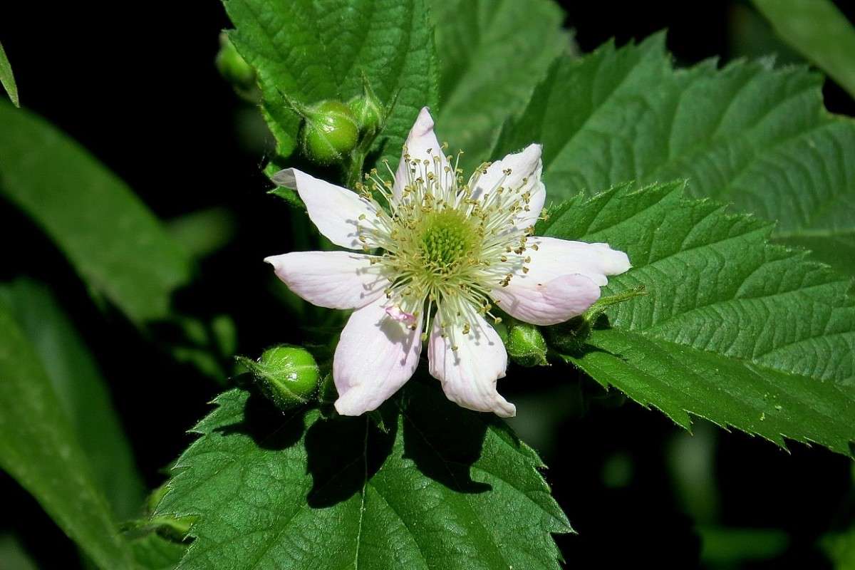 ��������� ���� 3 ����� Natali  ��������� �� PhotoGeek.ru #����� ��������������