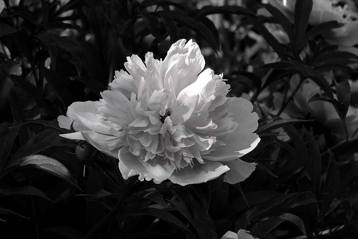 ... ����� Natali  ��������� �� PhotoGeek.ru #����� ��������������