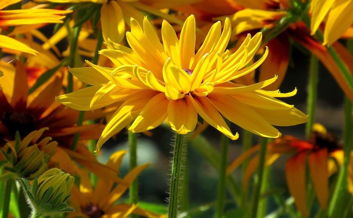 ... ����� Natali  ��������� �� PhotoGeek.ru #������ ��� ������� #����� ��������������