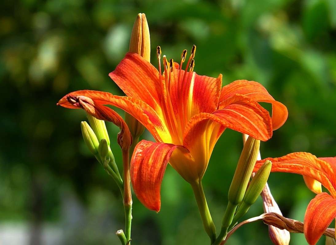 ... ����� Natali  ��������� �� PhotoGeek.ru #������ ��� ������� #����� ��������������