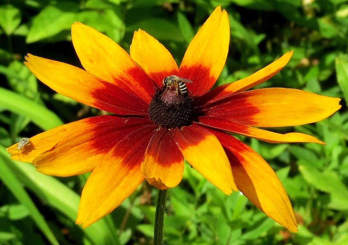 �������� ������ 2 ����� Natali  ��������� �� PhotoGeek.ru #������ ��� ������� #����� ��������������