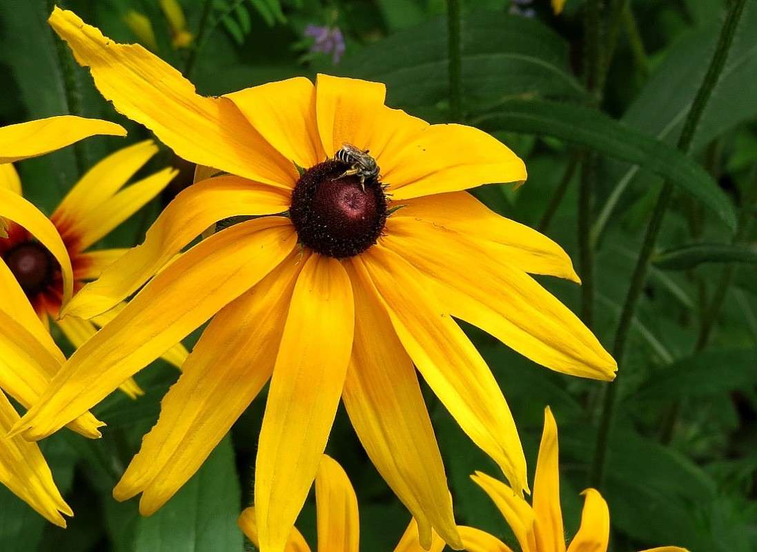 �������� ������ ))) ����� Natali  ��������� �� PhotoGeek.ru #������ ��� ������� #����� ��������������