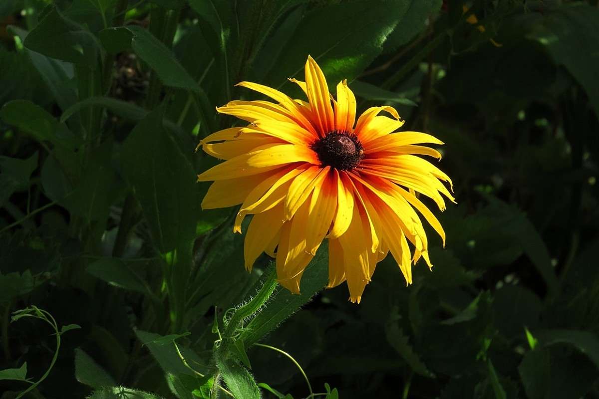 ... ����� Natali  ��������� �� PhotoGeek.ru #������ ��� ������� #����� ��������������