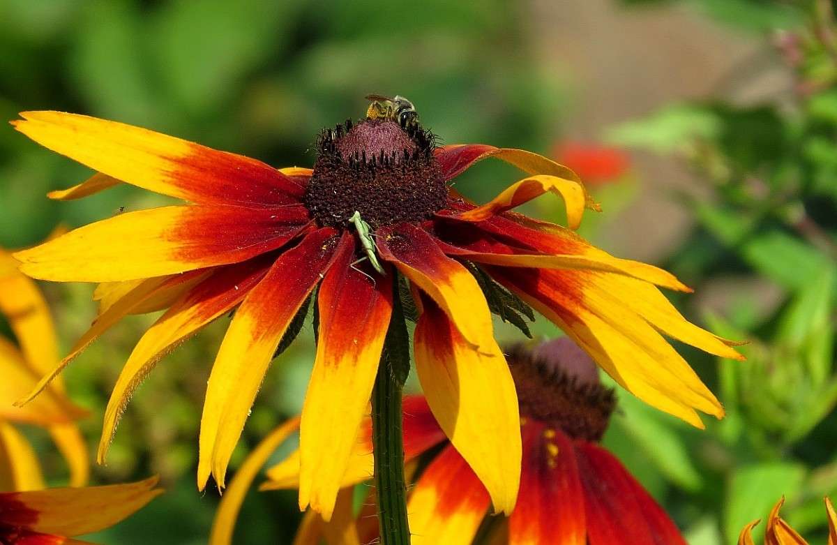 � �������� ...))) ����� Natali  ��������� �� PhotoGeek.ru #������ ��� ������� #����� ��������������