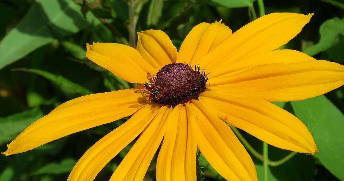 ... ����� Natali  ��������� �� PhotoGeek.ru #������ ��� ������� #����� ��������������