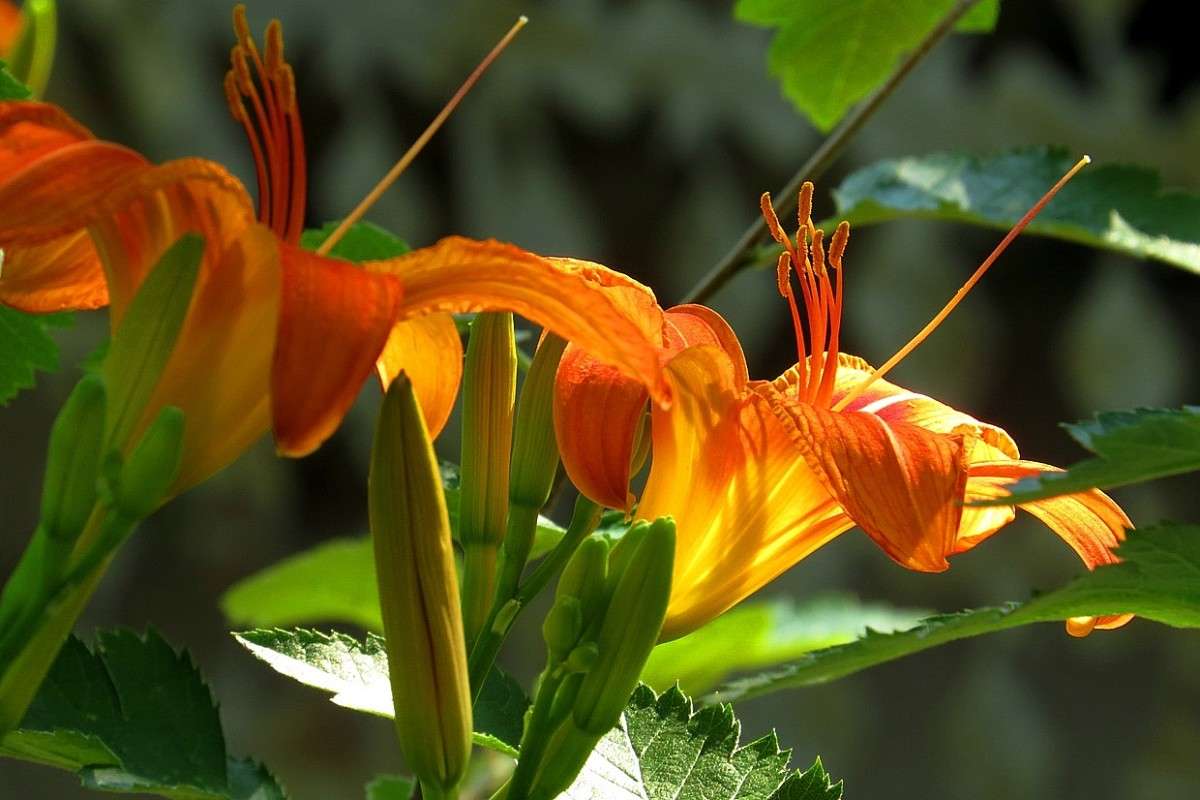 ��������� ))) ����� Natali  ��������� �� PhotoGeek.ru #������ ��� ������� #����� ��������������