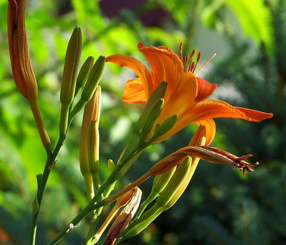 � ������ � ������� ����� Natali  ��������� �� PhotoGeek.ru #������ ��� ������� #����� ��������������