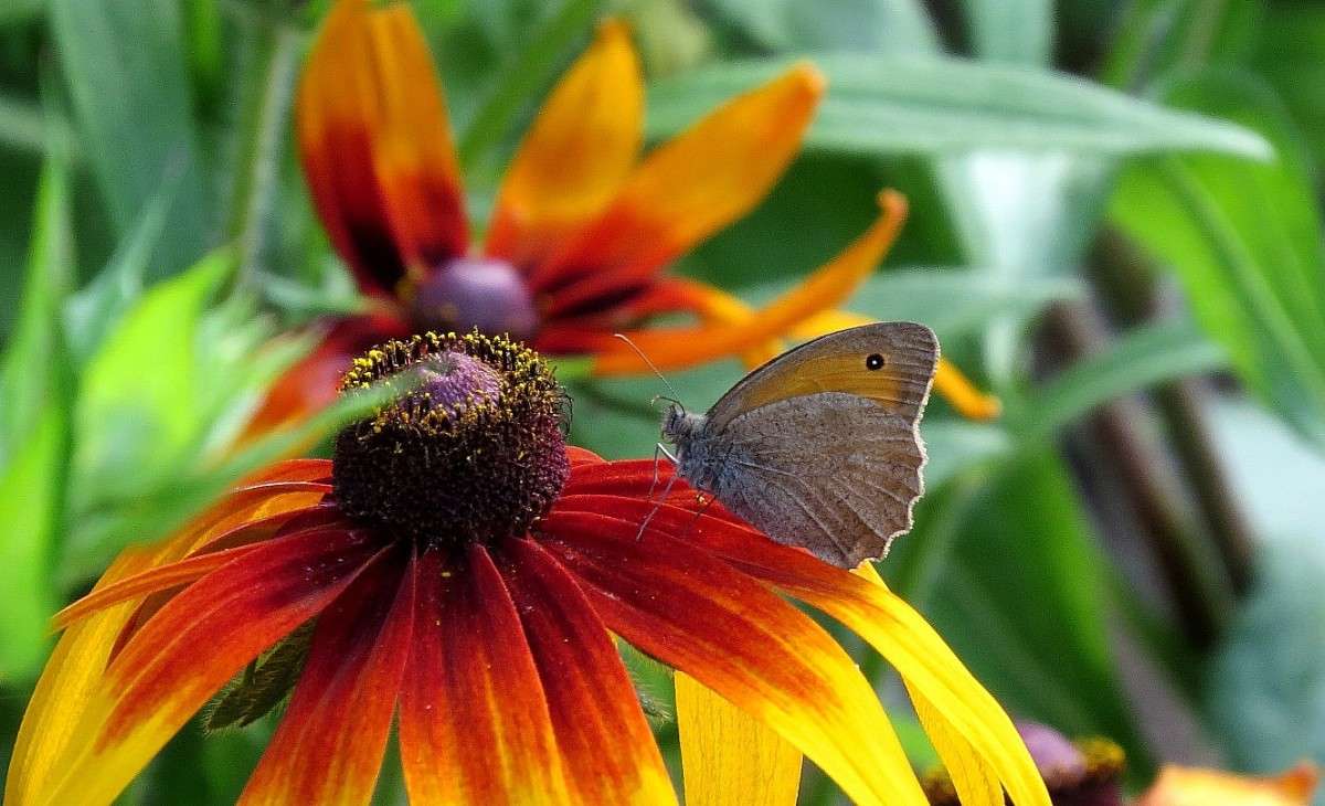 ... ����� Natali  ��������� �� PhotoGeek.ru #������ ��� ������� #����� ��������������