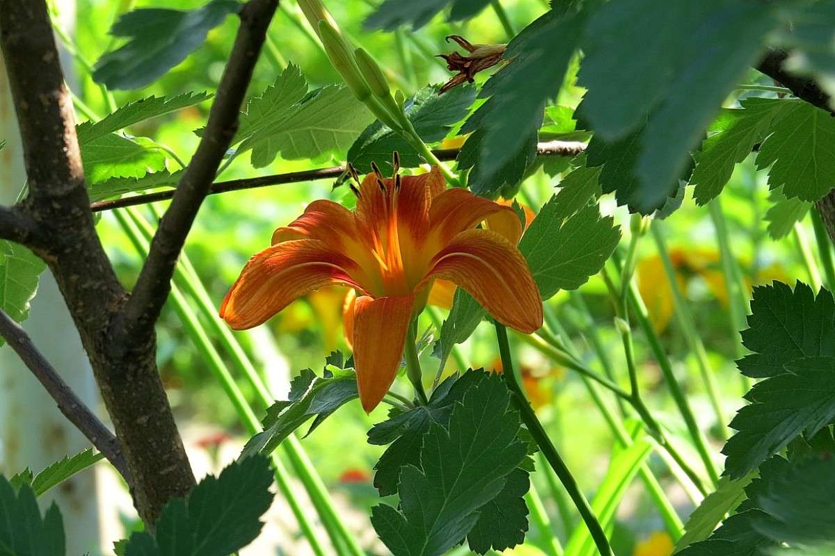 � ������� ����� Natali  ��������� �� PhotoGeek.ru #������ ��� ������� #����� ��������������