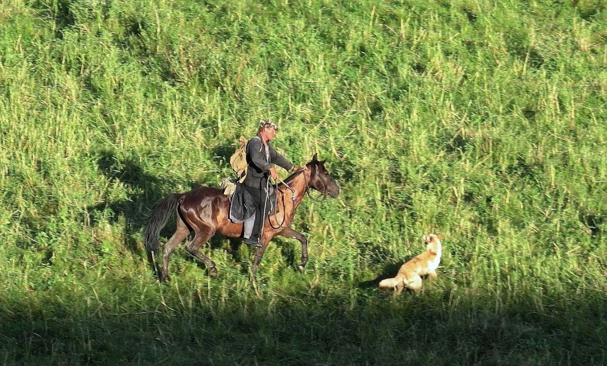 �������� ������ ) ����� Natali  ��������� �� PhotoGeek.ru #�������� ���������� #��������