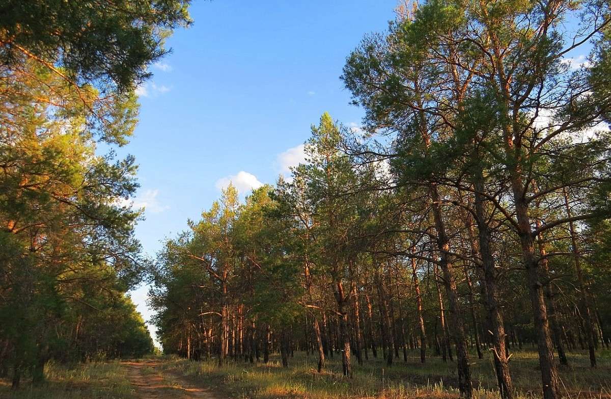 ����� ����� Natali  ��������� �� PhotoGeek.ru #������ ��� ������� #����� ��������������