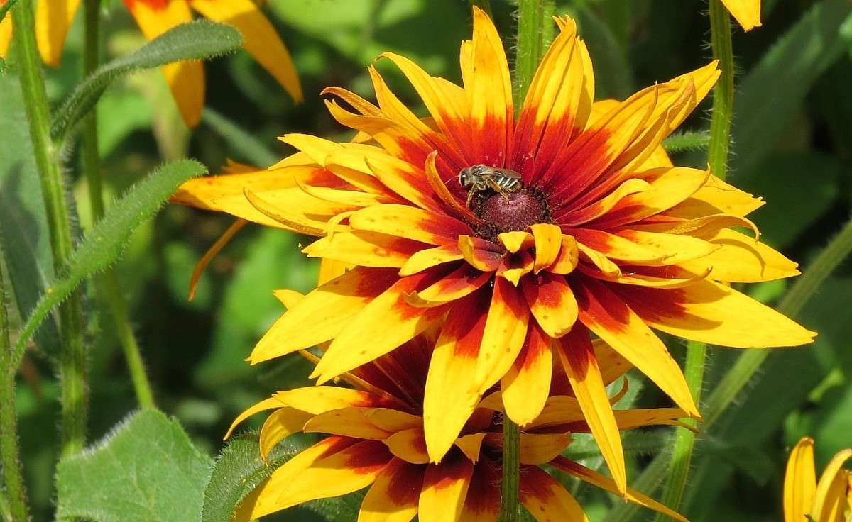 ... ����� Natali  ��������� �� PhotoGeek.ru #������ ��� ������� #����� ��������������