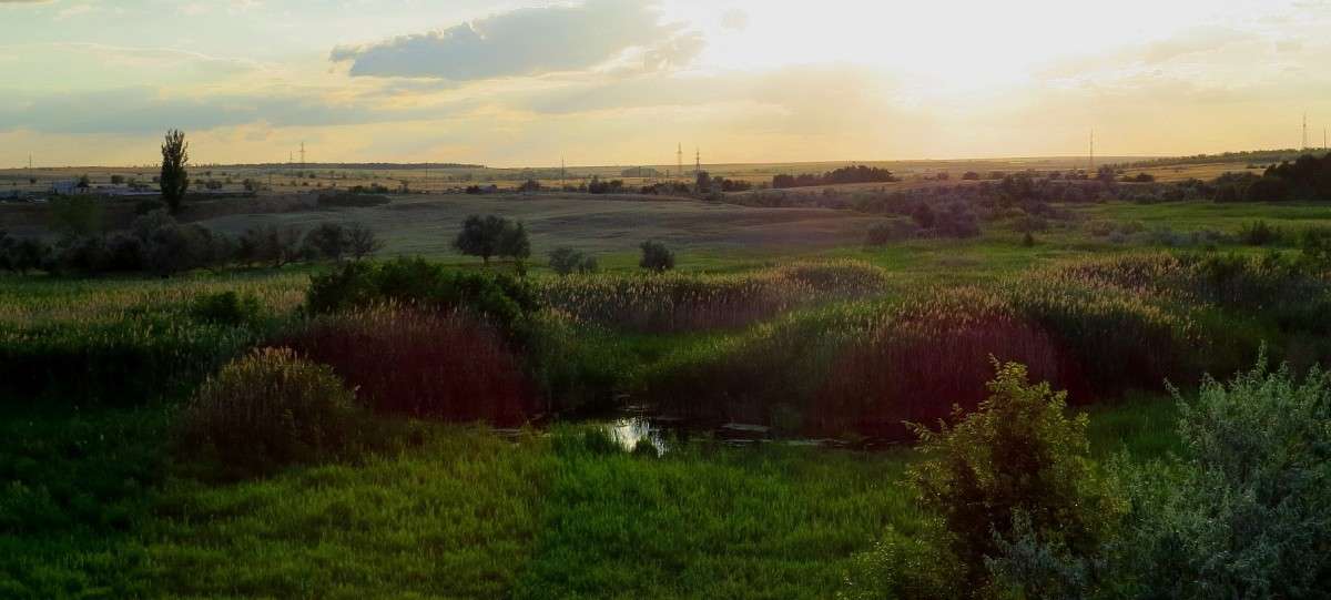 ����� 4. ������ ������. ����� Natali  ��������� �� PhotoGeek.ru #������ ��� �������