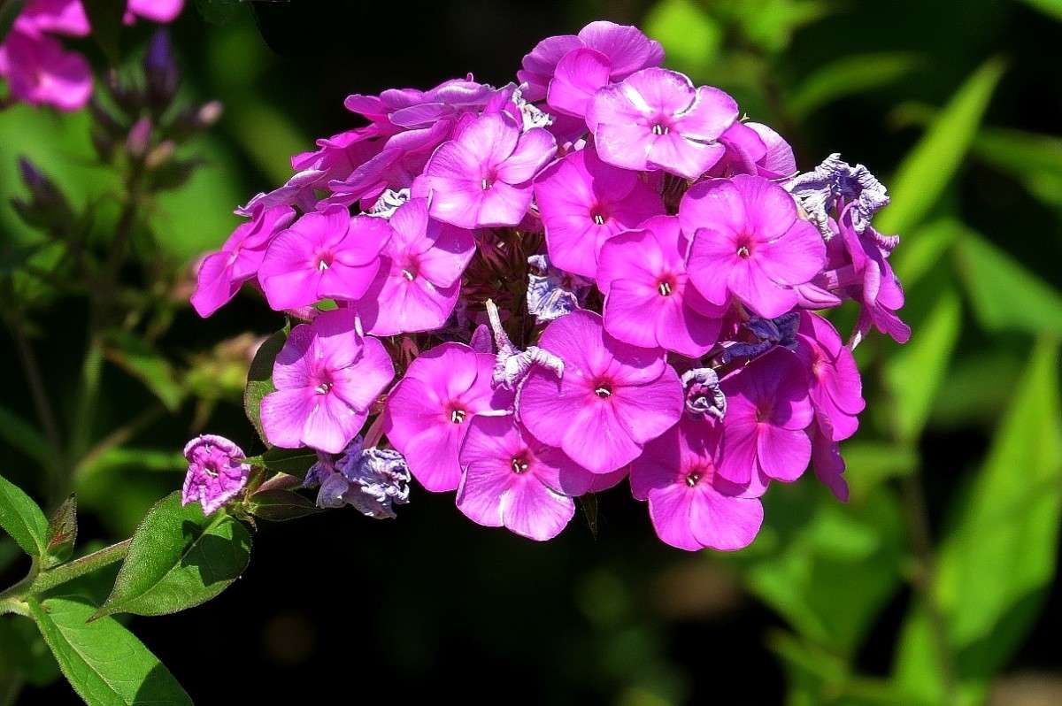 ������ ������ ����� Natali  ��������� �� PhotoGeek.ru #������ ��� ������� #����� ��������������