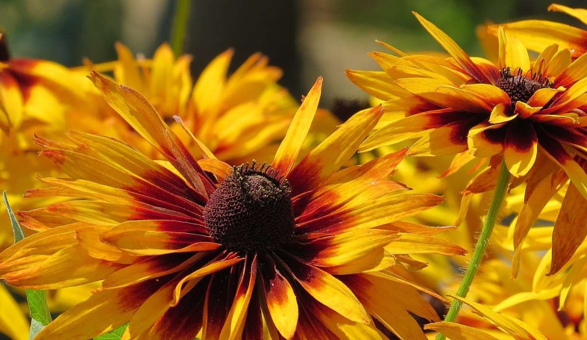 � ��������� ������ 2 ����� Natali  ��������� �� PhotoGeek.ru #������ ��� ������� #����� ��������������